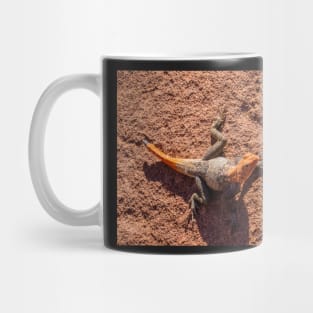 Agama lizard. Mug